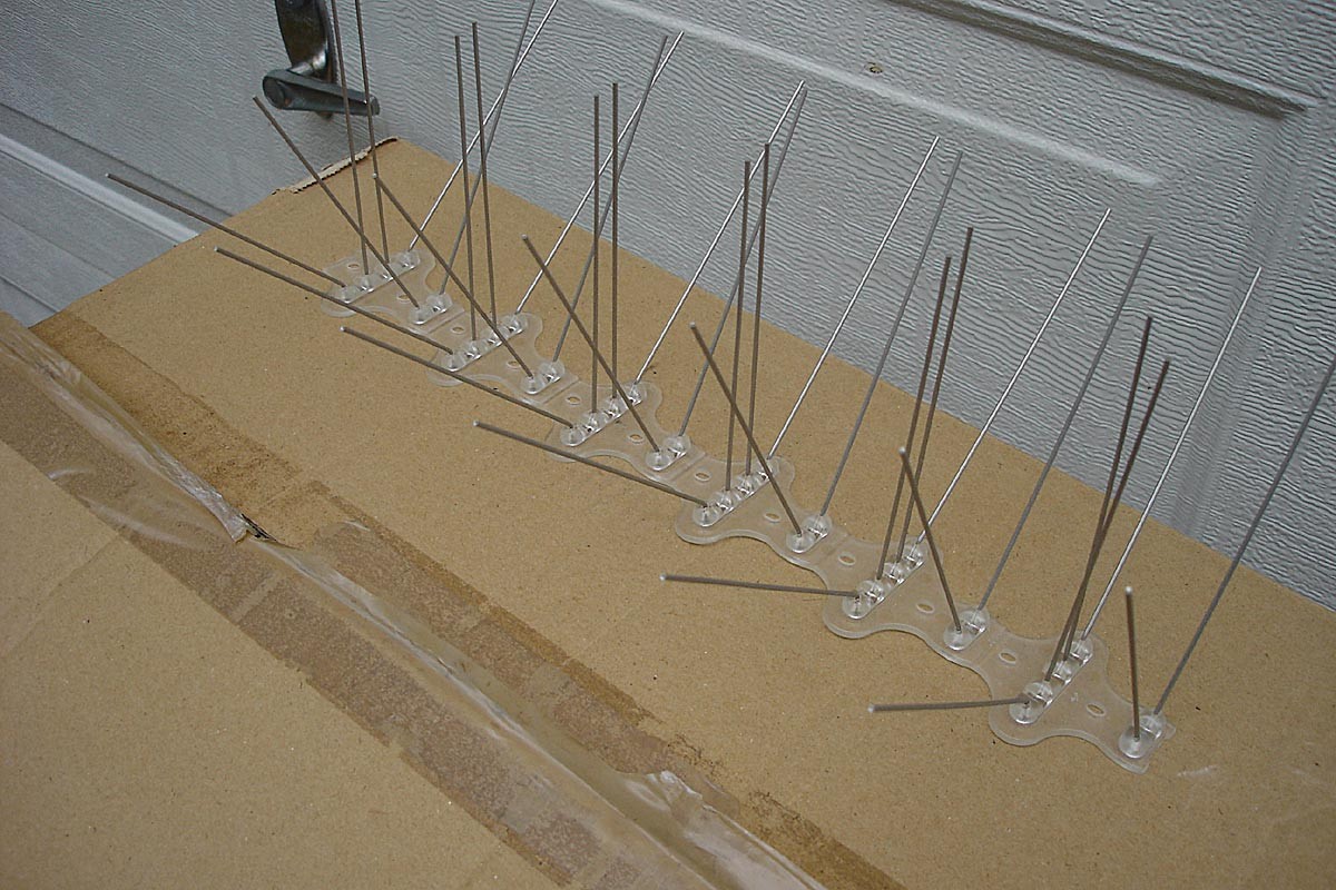 Stainless Steel Bird Spikes – New in Box – 13″ x 60 Pieces Per Box