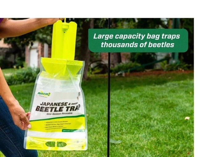RESCUE! Japanese & Oriental Beetle Trap One-Season Reusable 8 Count