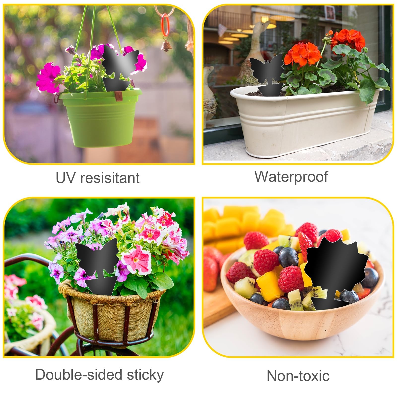 Fruit Fly Traps, 60 Pack Black Sticky Traps, Fungus Gnat Traps, Plant Fly