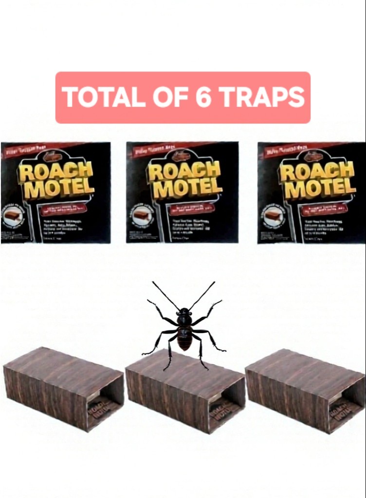 Black Flag Roach Motels Cockroach Bug Killer bait Glue Trap Spider Motel