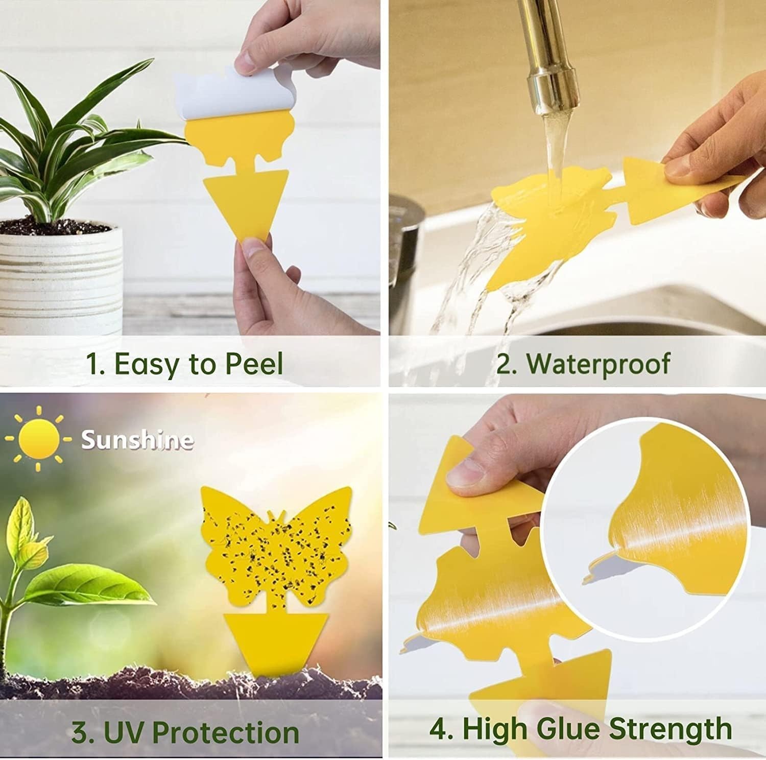 36 Pack Fruit Fly Traps for Indoors, Gnat Traps for House Indoor, Sticky Trap…