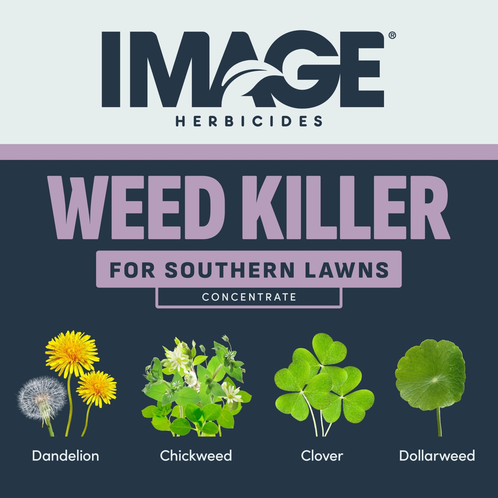 Image Herbicides Weed Killer for Southern Lawns Concentrate 32oz Free Shipping