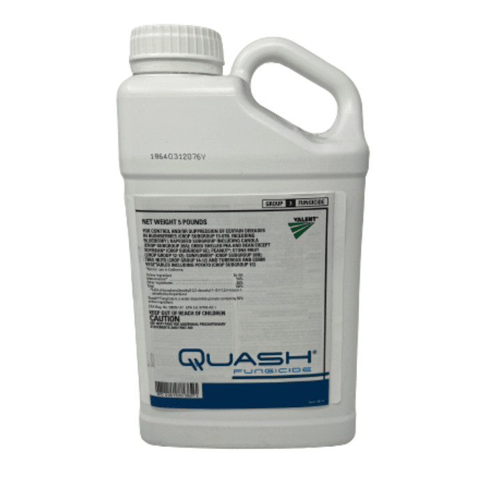 Quash 12.5oz