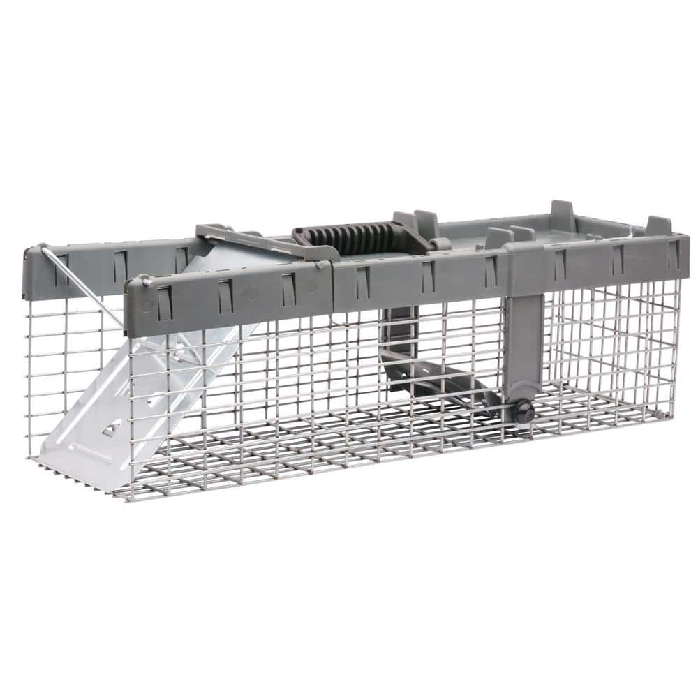 Havahart Small 1 Door Humane Live Animal Trap Squirrel Chipmunk Weasel Cage
