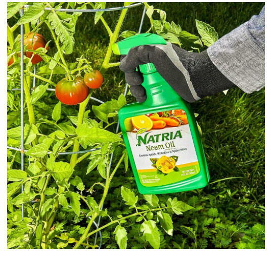 Natria 706250A Neem Oil Spray 24-Ounce for Plants Pest Organic Disease Control