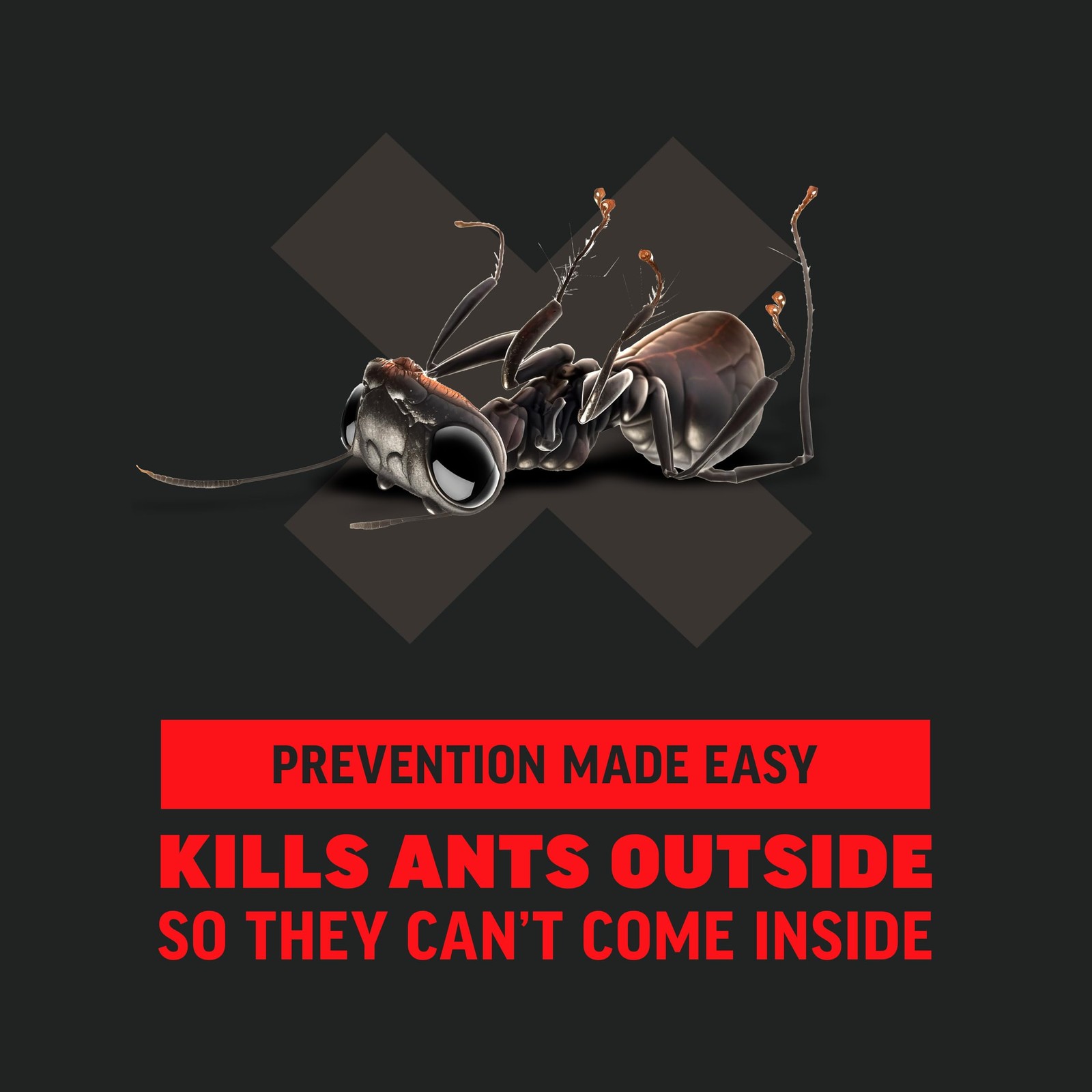Amdro Ant Killer for Outdoor Home Perimeter, 12oz 12 Ounces