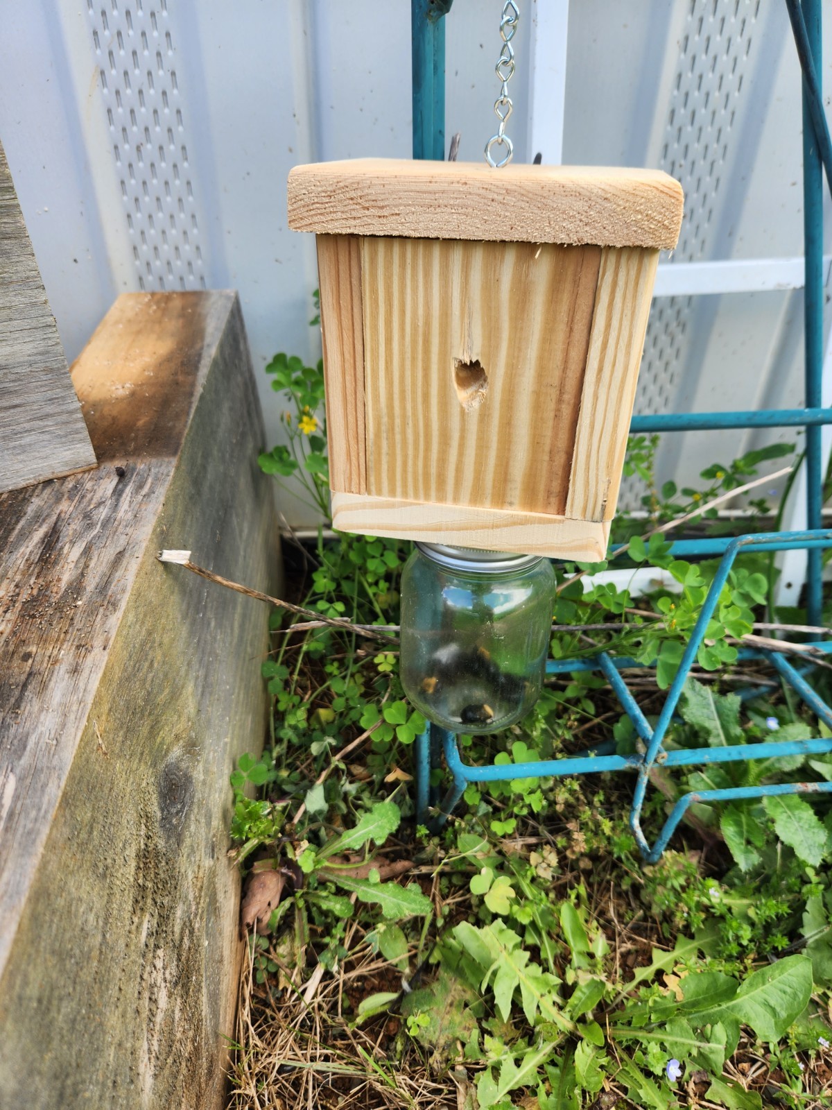 Set of 2 Carpenter Bee Traps Handmade Wood w/ Mason Jars Hanging Outdoor USA