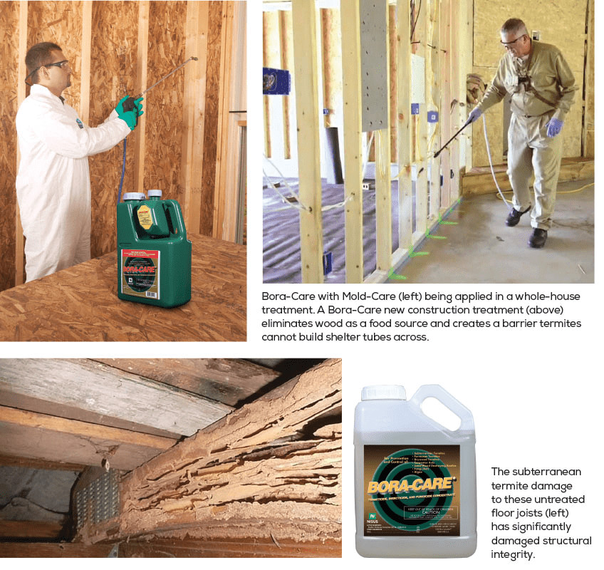 Bora-Care Termite Control BoraCare Termiticide & Borate Fungicide – 1 Gallon