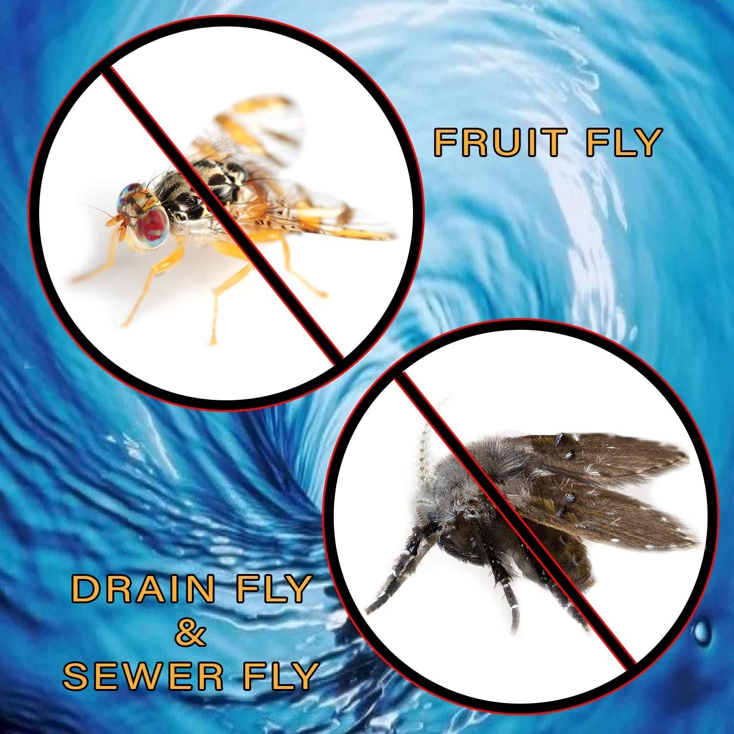 1 Gallon Commercial Drain Gel – Eliminates Fruit Fly & Gnat Infestations Safely