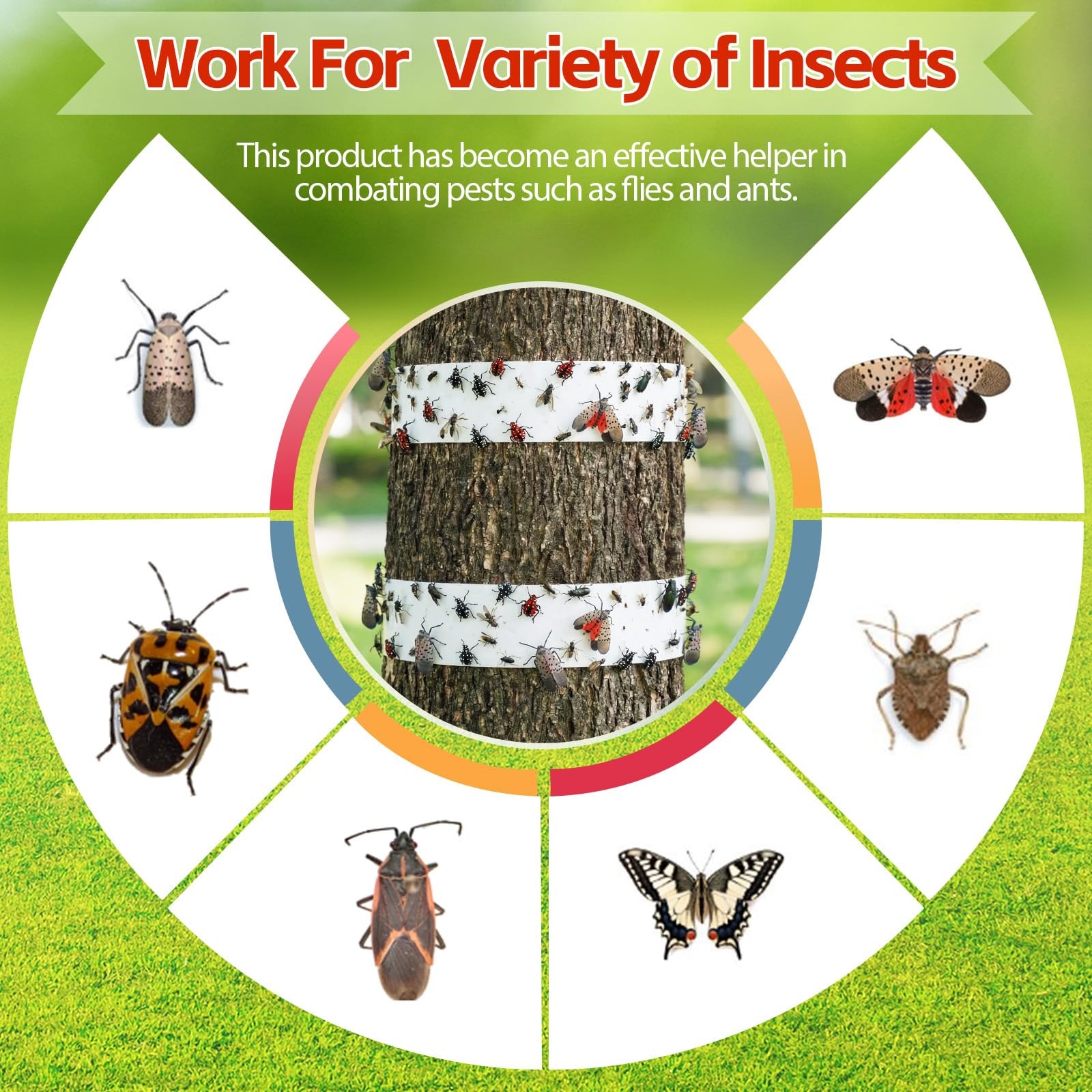 6 Rolls Spotted Lantern Fly Traps Ant Insect Barrier, 30 ft Each, Outdoor Fly…