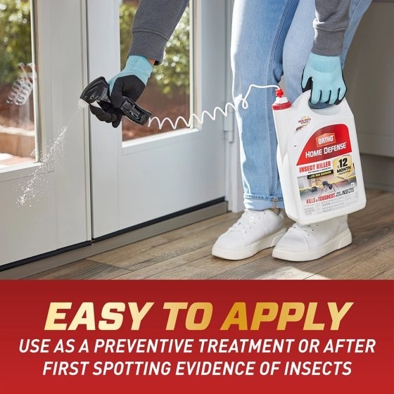 Ortho Home Defense Insect Killer for Indoor & Perimeter2 with Comfort Wand,1 gal