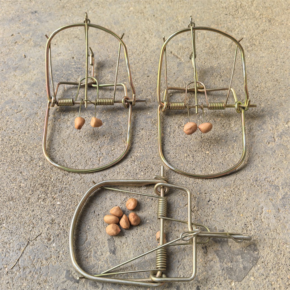 3 Pieces Mouse Traps Rat Mice Killer Snap Trap Power Rodent Heavy Duty Pest Trap