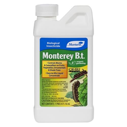 Monterey B.T. – 1 Pint