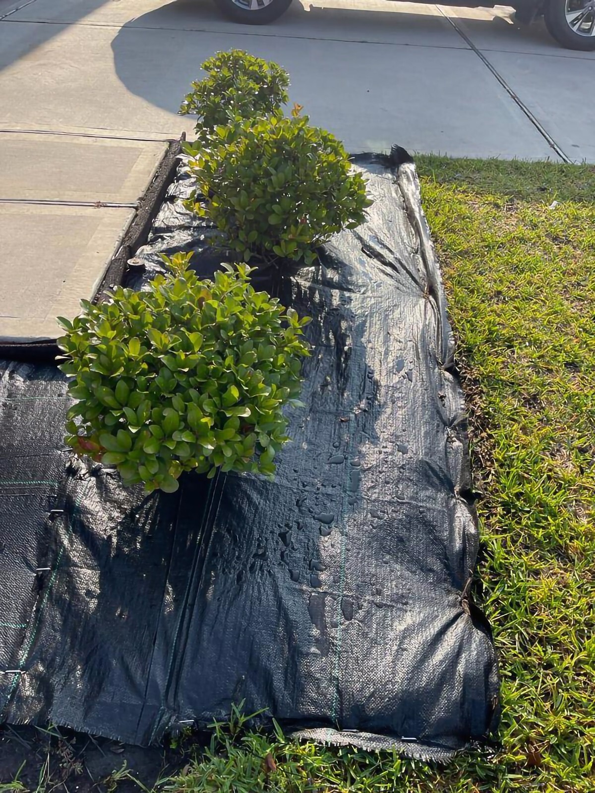 Heavy Duty Landscape Fabric 100 GSM, Weed Barrier Garden Mat, Different Sizes
