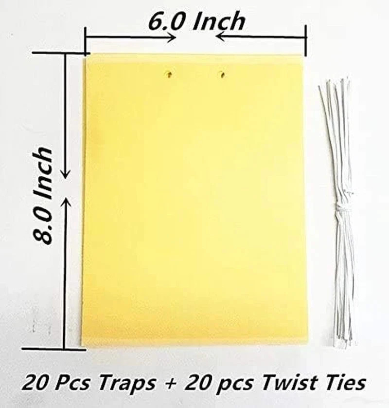20 PACK Garden Sticky Traps Cucumber Beetle Trap Fruit Fly Trap Fly 6″X8″ Paper