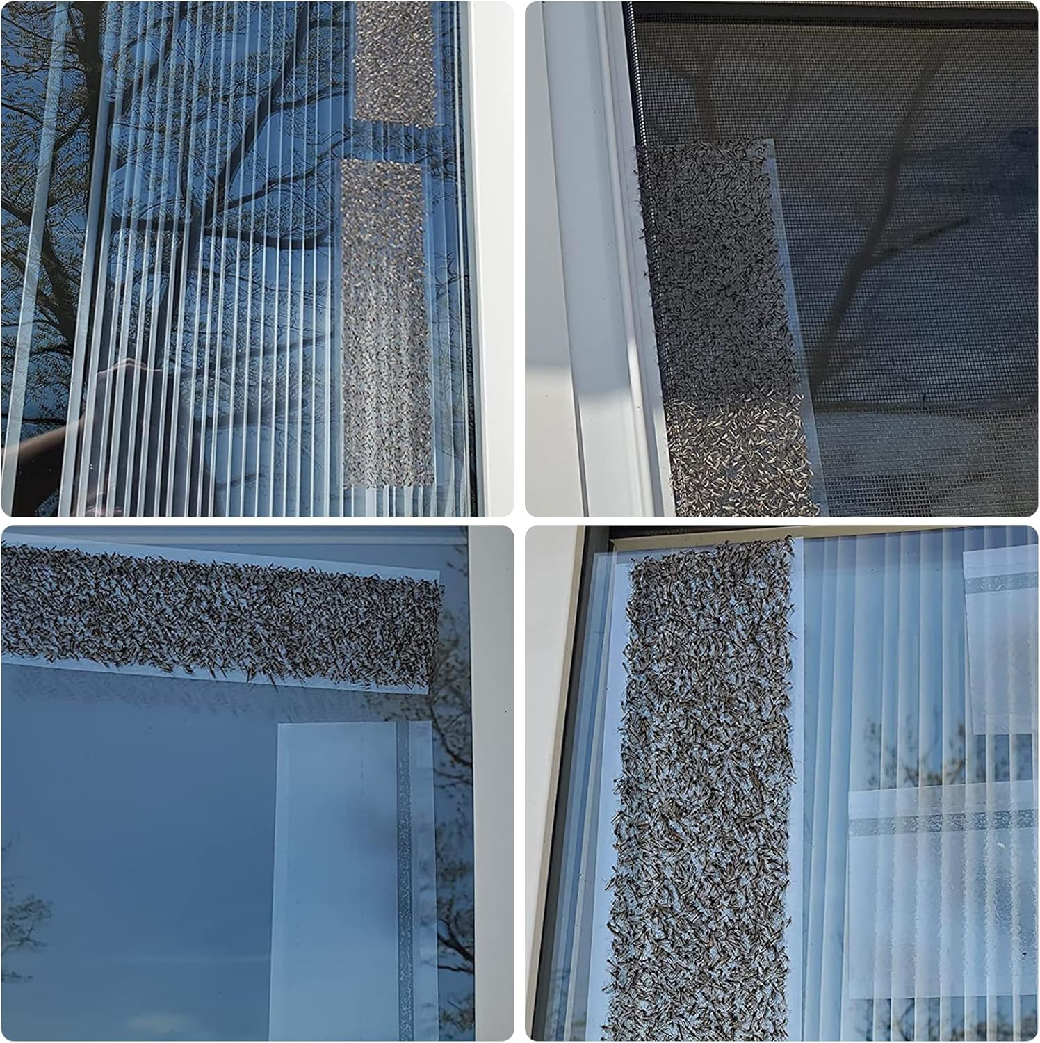 Window Fly Traps for Indoors, 80 Pack Clear Fly Paper Sticky Fly Strips for Home