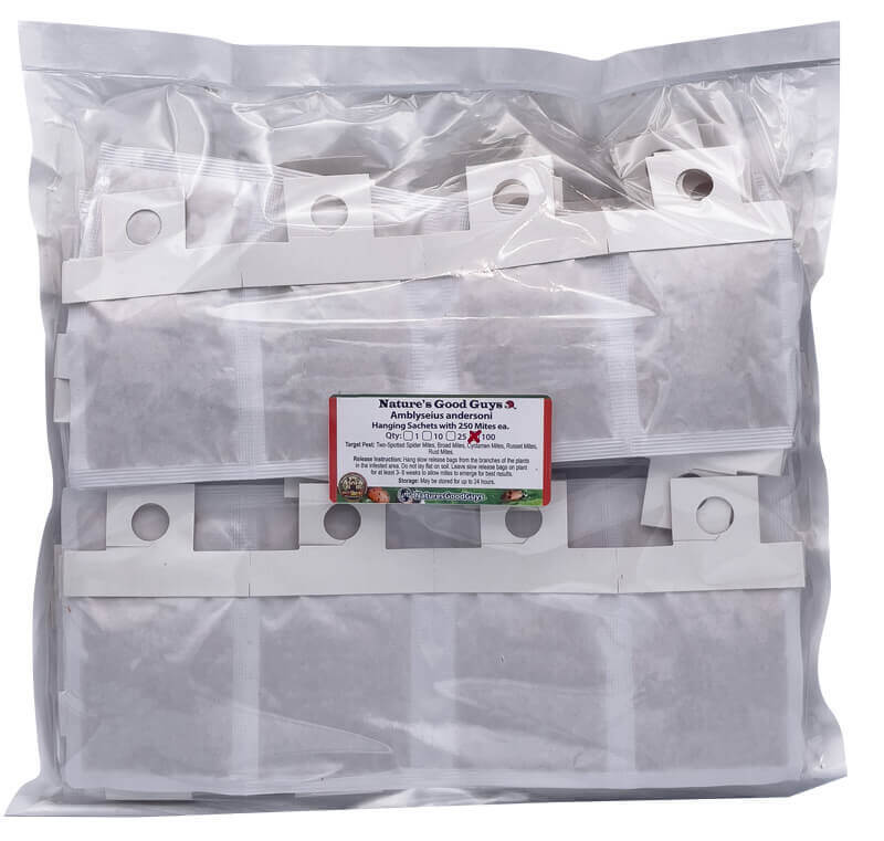 Slow Release Sachets – Amblyseius andersoni – Predatory Spider Mite Control