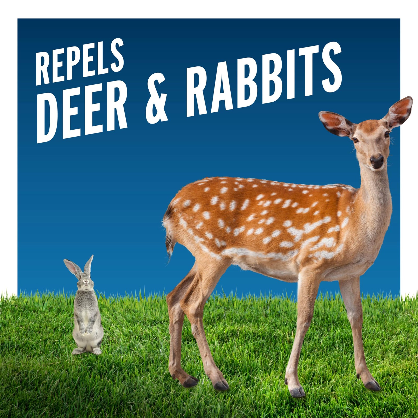 Liquid Fence Deer & Rabbit Repellent Ready-to-Use, 1-Gallon