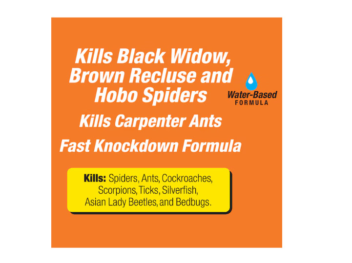 TERRO Spider and Ant Killer 16 oz Ready To Use Insect Spray