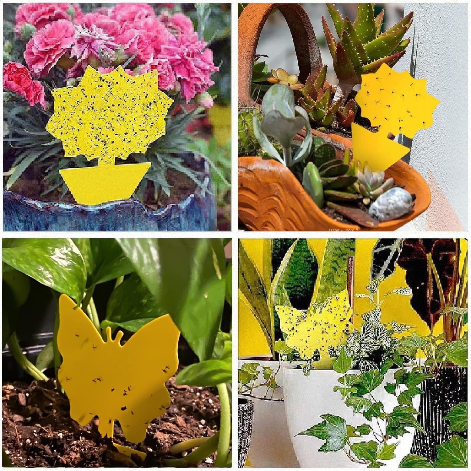 58 Pack Flying Insect Traps for Plants, Yellow Sticky Traps for Gnat, Flying Bug
