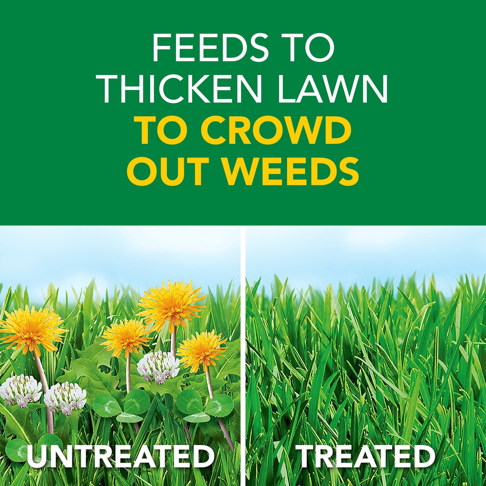 Scotts Turf Builder Weed & Feed – 11.32lb, Covers 4,000 sq ft