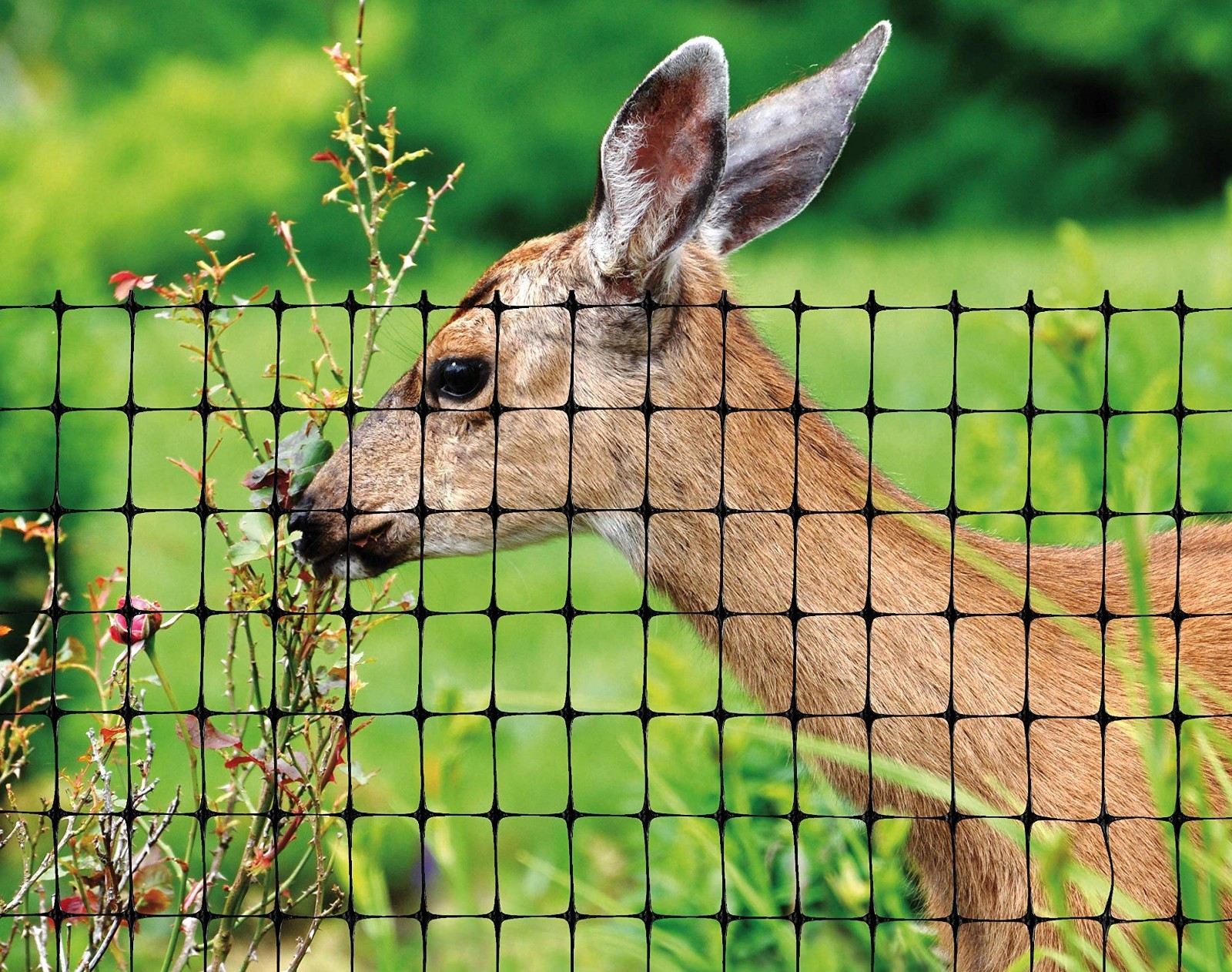 Heavy Duty Deer Netting 7ft x 100ft – Garden Protection, Black Polypropylene