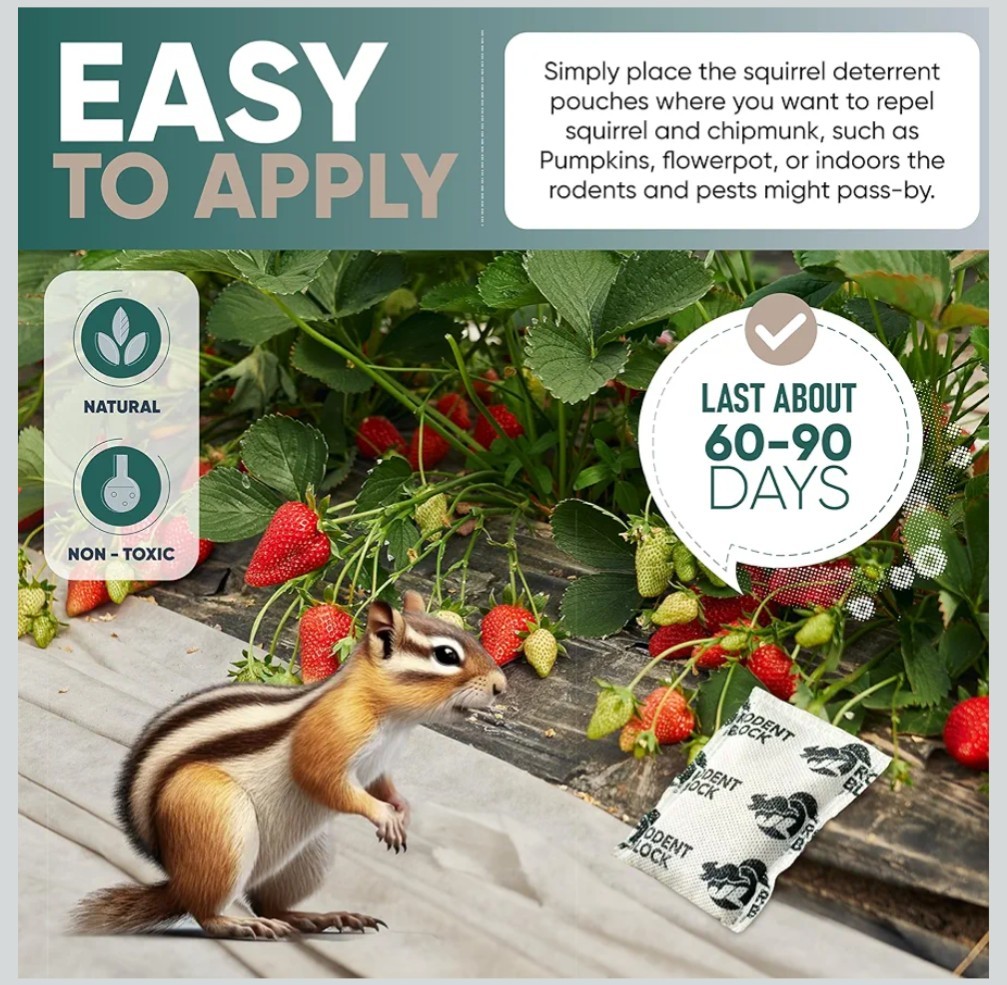 JL Rodent Block Pest Deterrent Pouch 6-Pack – All Natural Peppermint Oil
