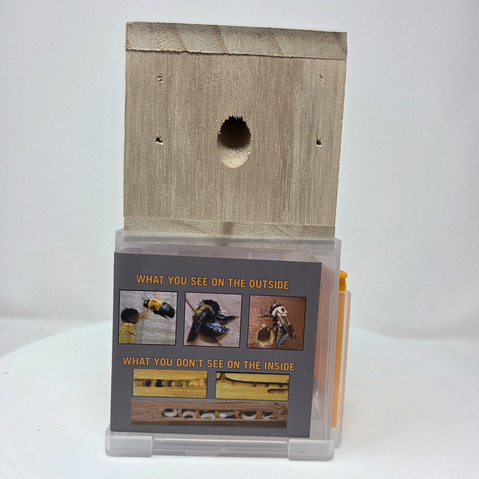 Bees ‘N Things Outdoor Carpenter Bee Traps – Buy Multiple & Save – FREE SHIP