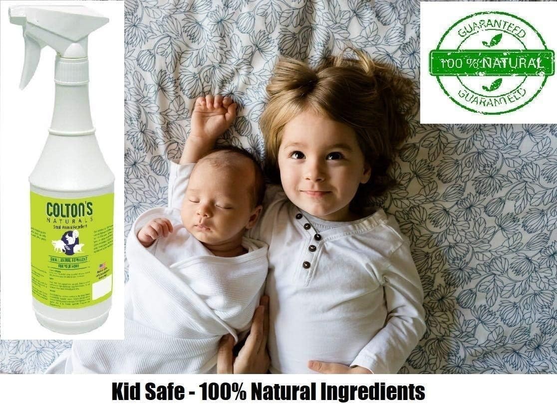 Cinnamon & Peppermint Lizard Spray – 32 Oz, Perfect for Indoor and Outdoor Areas