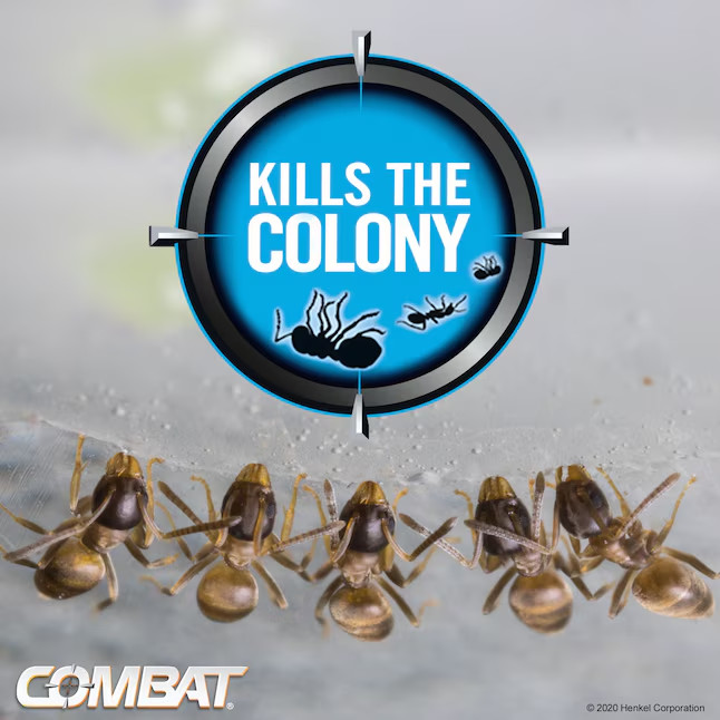 Combat Max Indoor/Outdoor Ant Killing Bait Gel 0.95 -oz Ready to use Ant killer