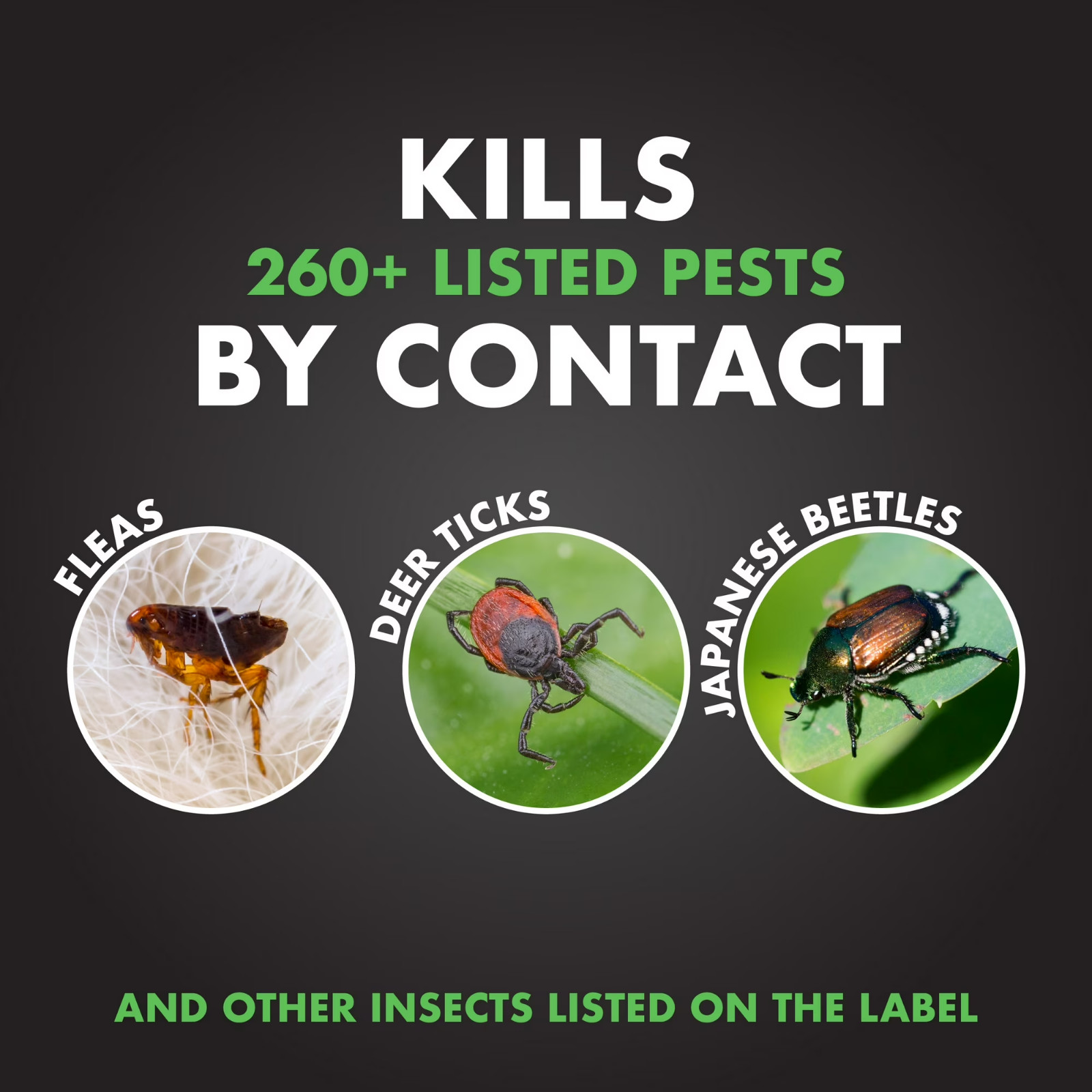 Lawn Insect Killer Spray Ready-to-Use Concentrate Controls Outdoor Pests 32 oz