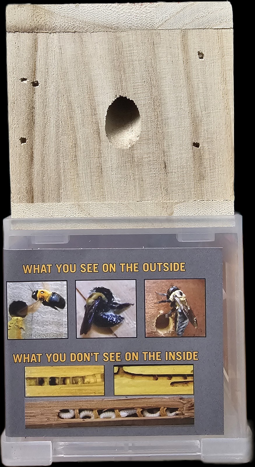 ( LOT OF 5 ) Bees ‘N Things Outdoor Hanging Carpenter Bee Trap
