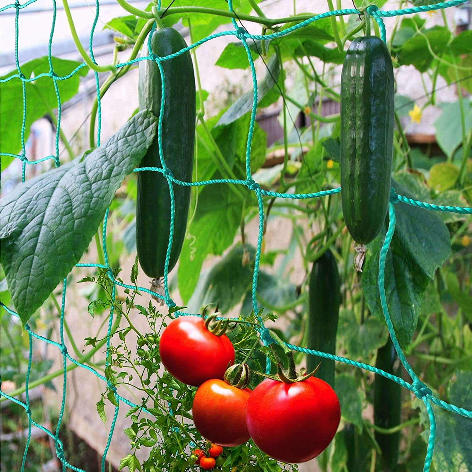 1 PCS Garden Trellis Netting Climbing Plants 24.6×6.6 Ft Vine Tomato Support