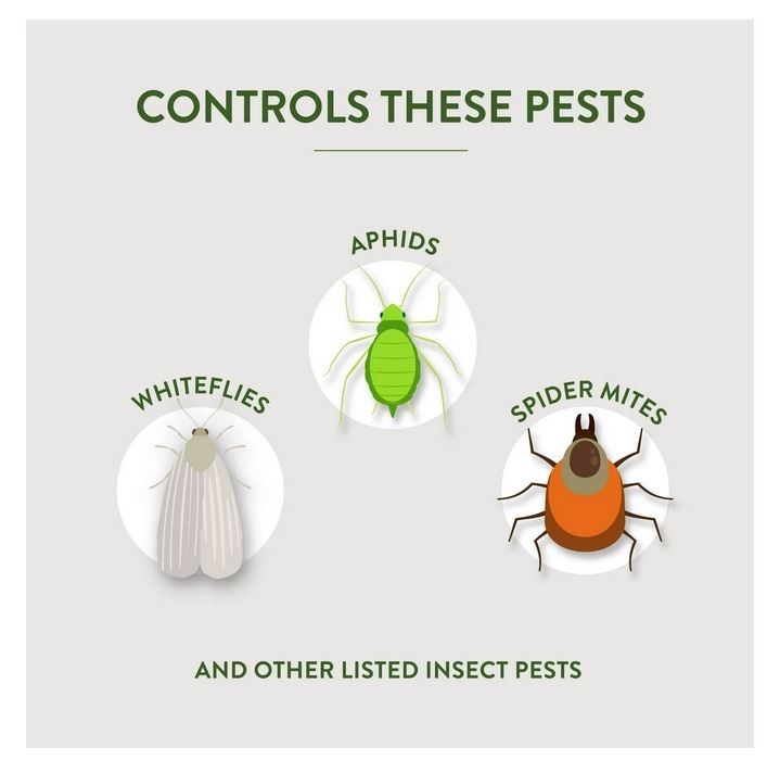 Garden Safe Fungicide3 Multi-Purpose Garden Insect Killer, 32-Ounce