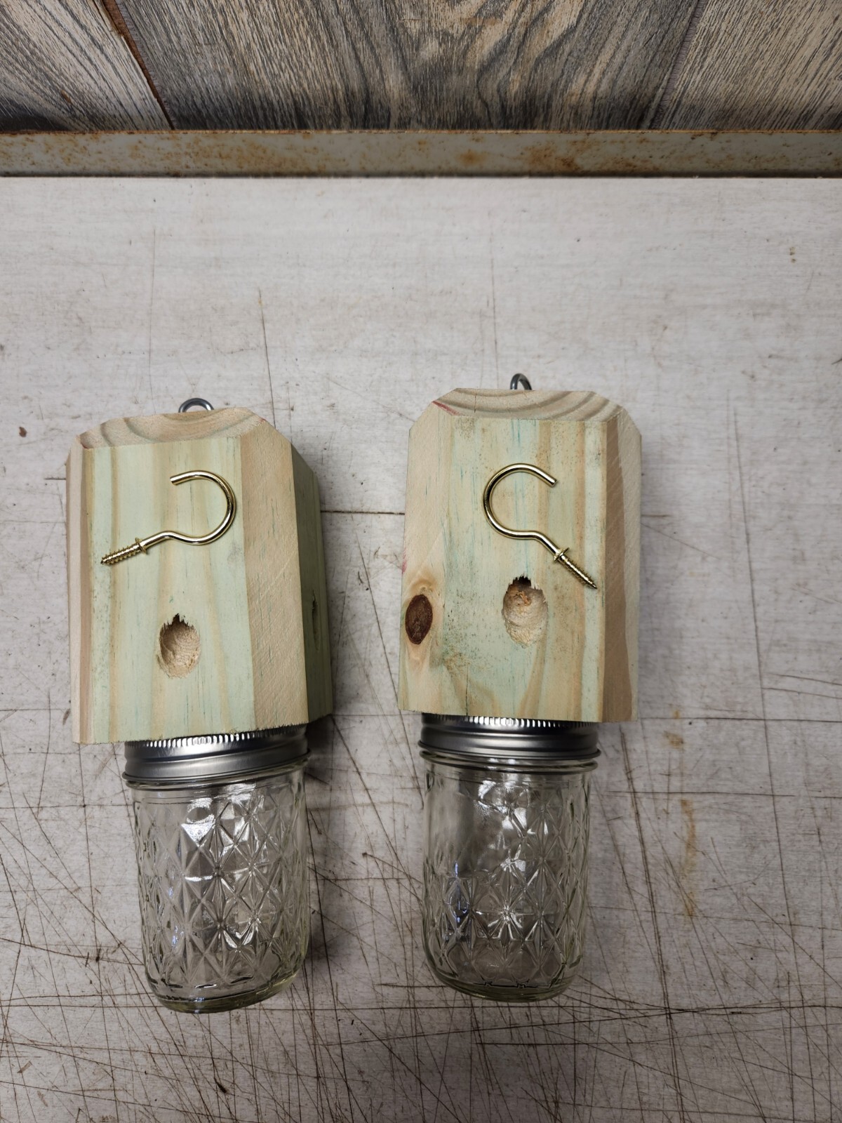 lot of 6 carpenter bee traps