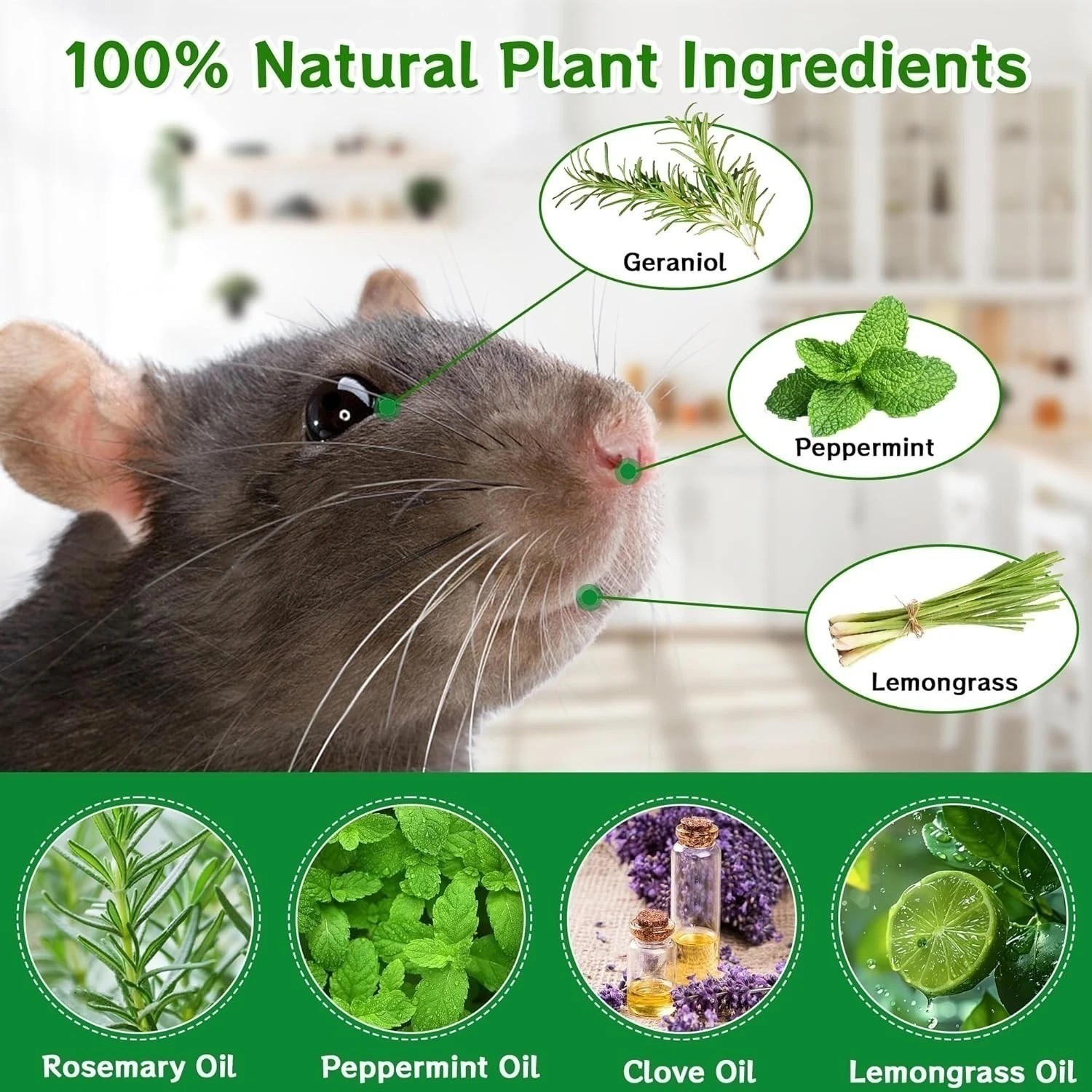Vamoose Natural Rodent Repellent – 24 Pack Peppermint Oil – Mice & Rat Deterrent