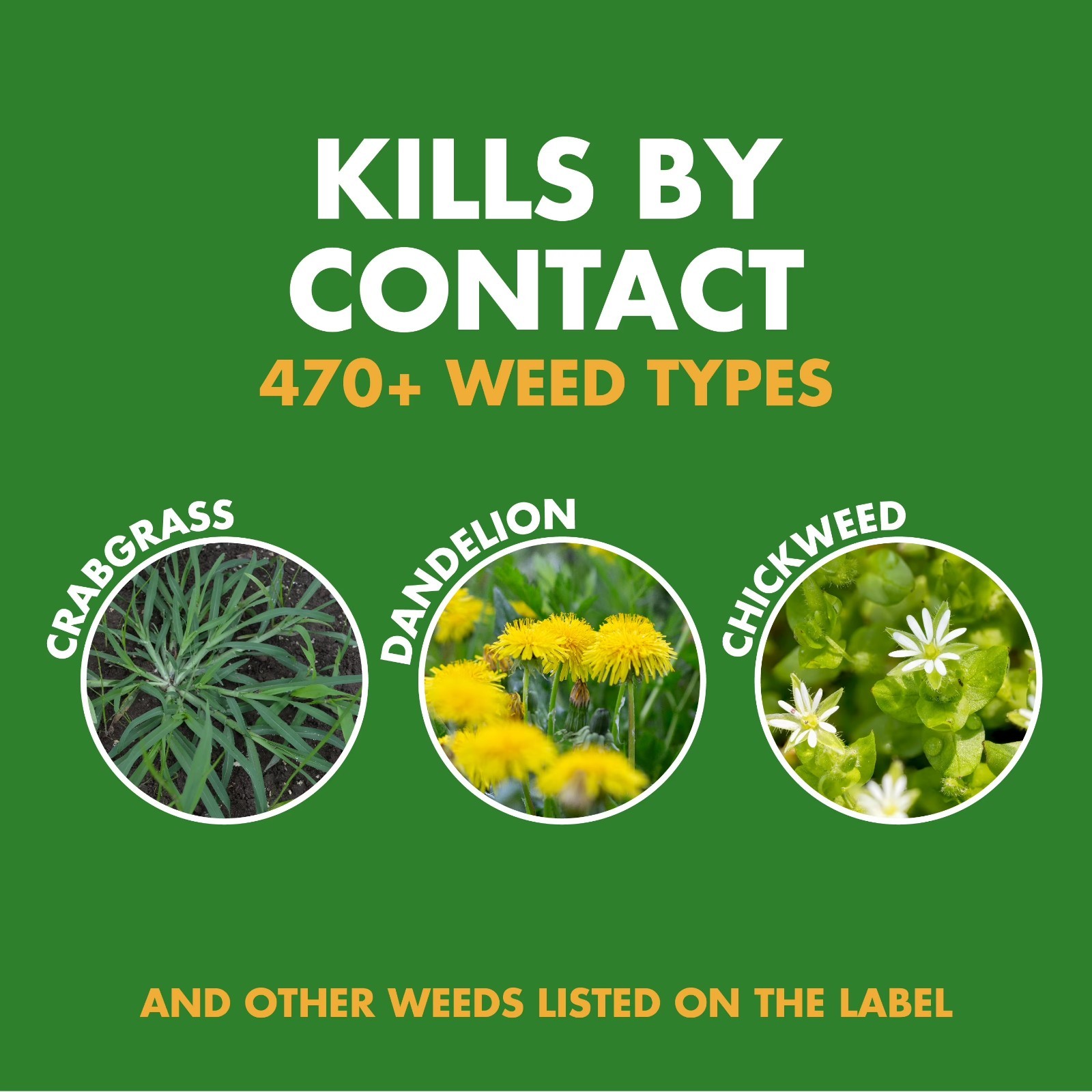Spectracide Weed Stop for Lawns Plus Crabgrass Killer Concentrate 32 Ounces