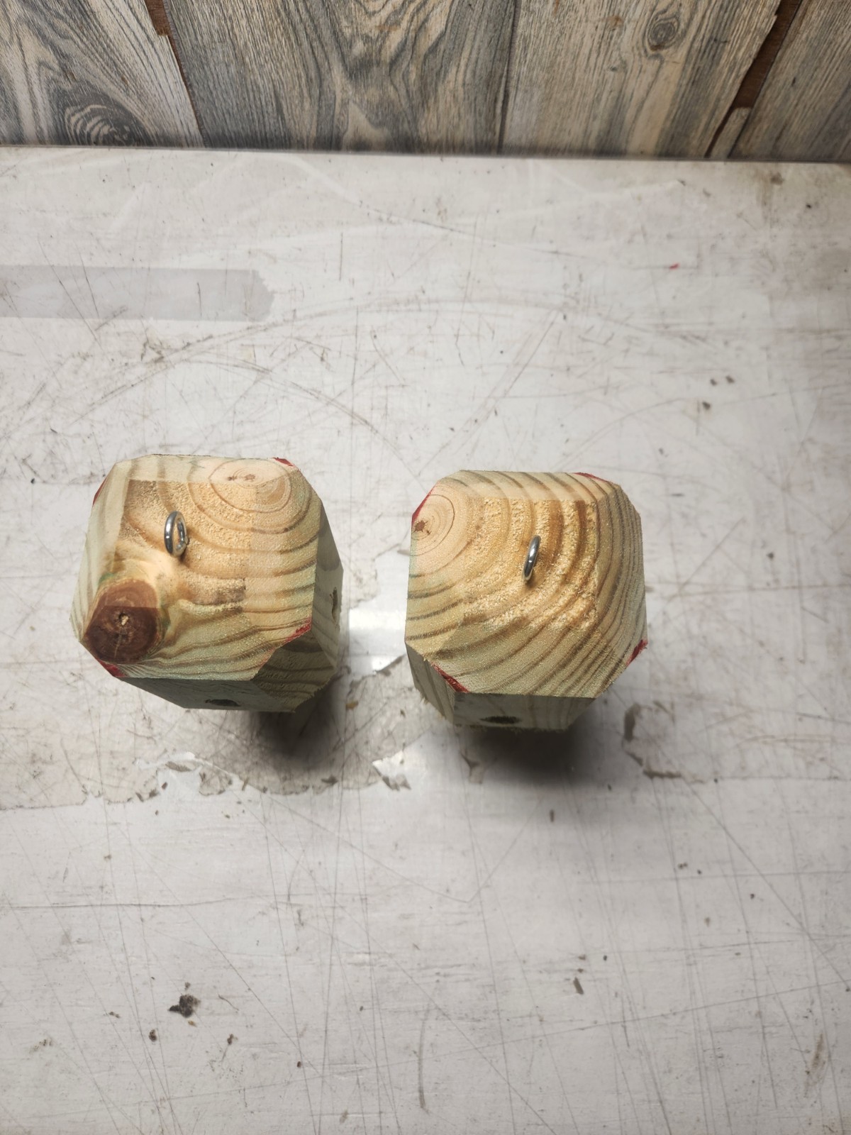 lot of 2 carpenter bee traps