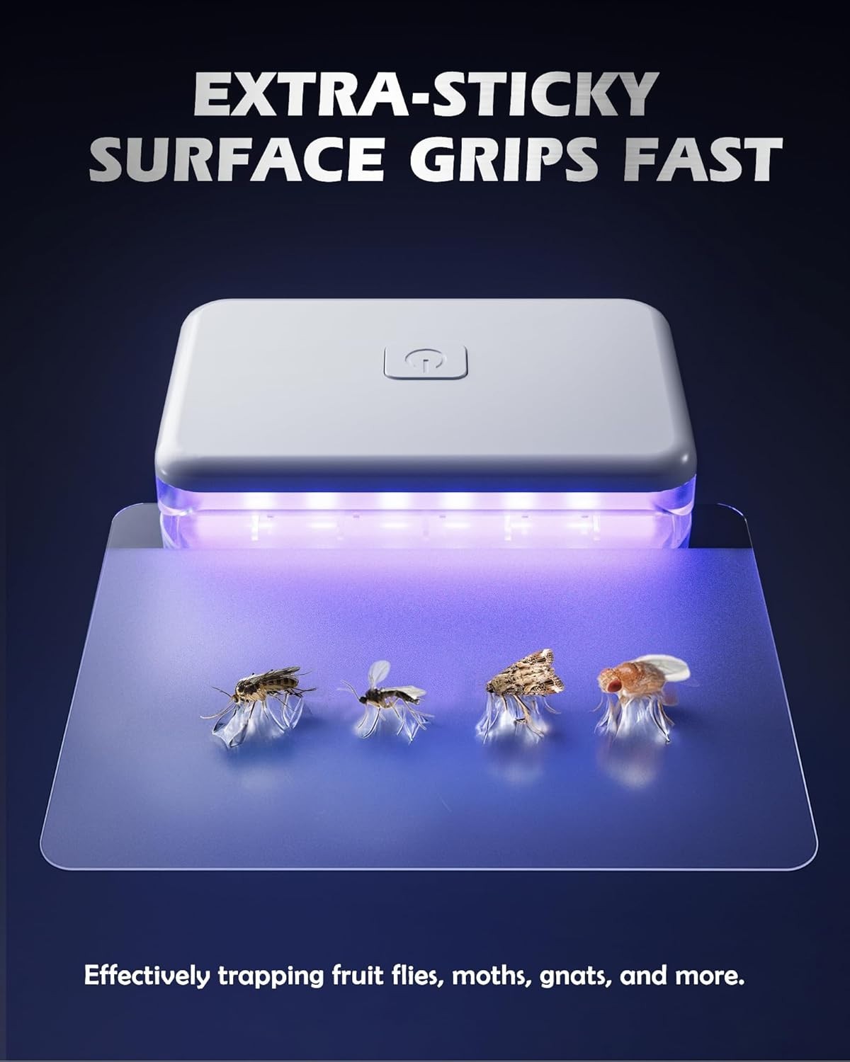 Fruit Fly Traps for Indoors () Plug in Fly Trap for Gnats, 1 Device+10 Refills