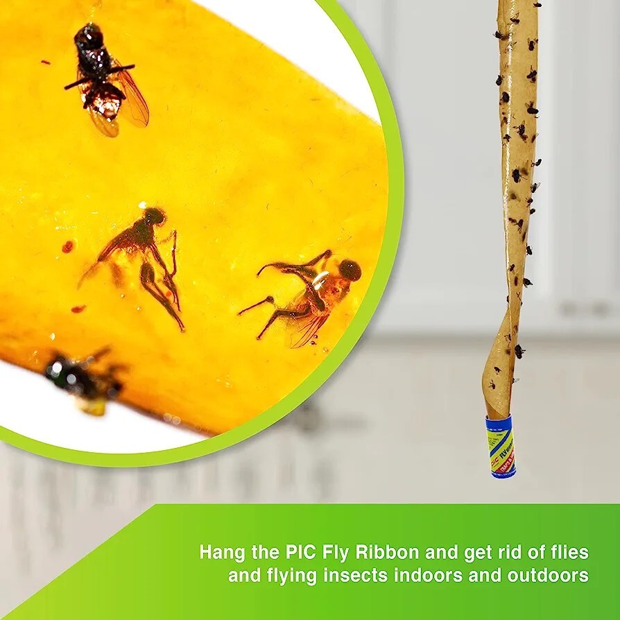 PIC*  FR10B Fly Ribbons Fruit Fly Traps For Indoors and Outdoors, Bug Trap 10pk