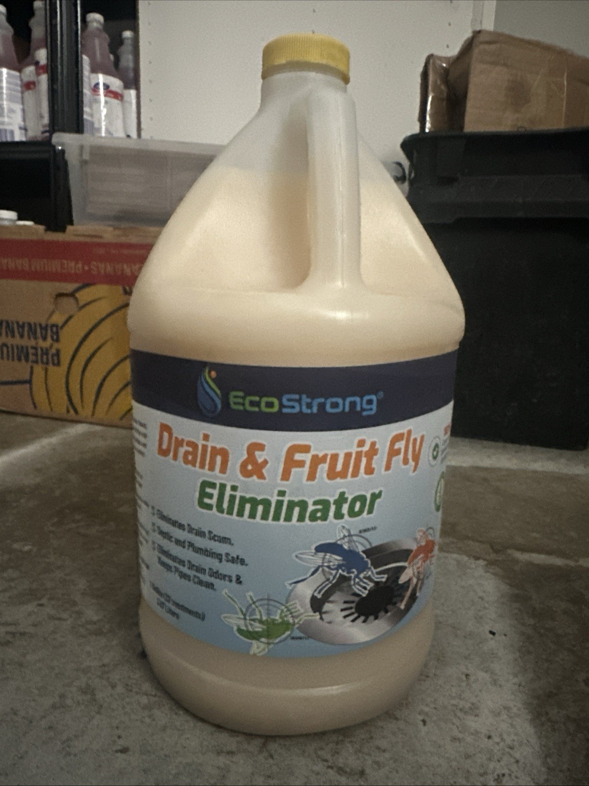 Fruit Fly Drain Treatment EcoStrong Drain Fly Eliminator 1 Gallon 32 Treatments