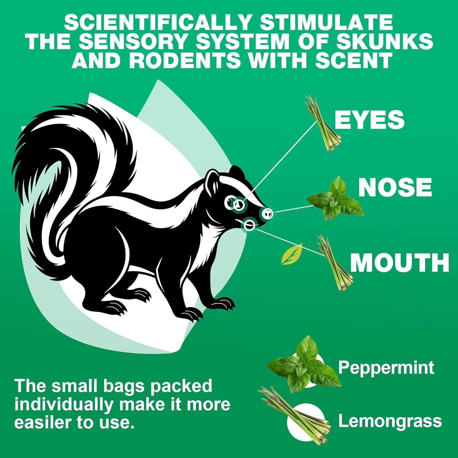 24 Pack Skunk Repellent Outdoor, Natural Peppermint Skunk Repellent Ball Humane