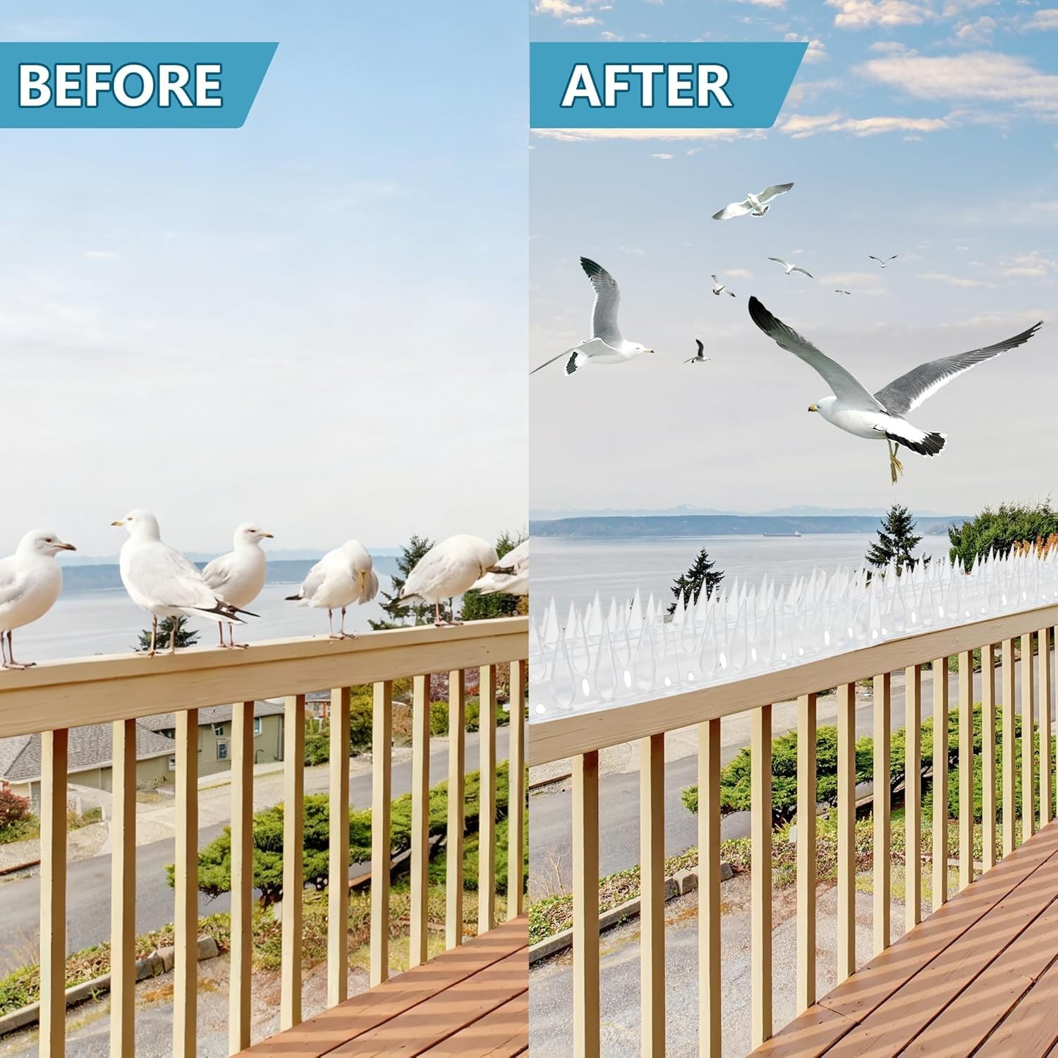 Bird Spikes, Clear, 12 Pack, New Roof Overhang Spikes, Pigeon Spikes for Fenc…