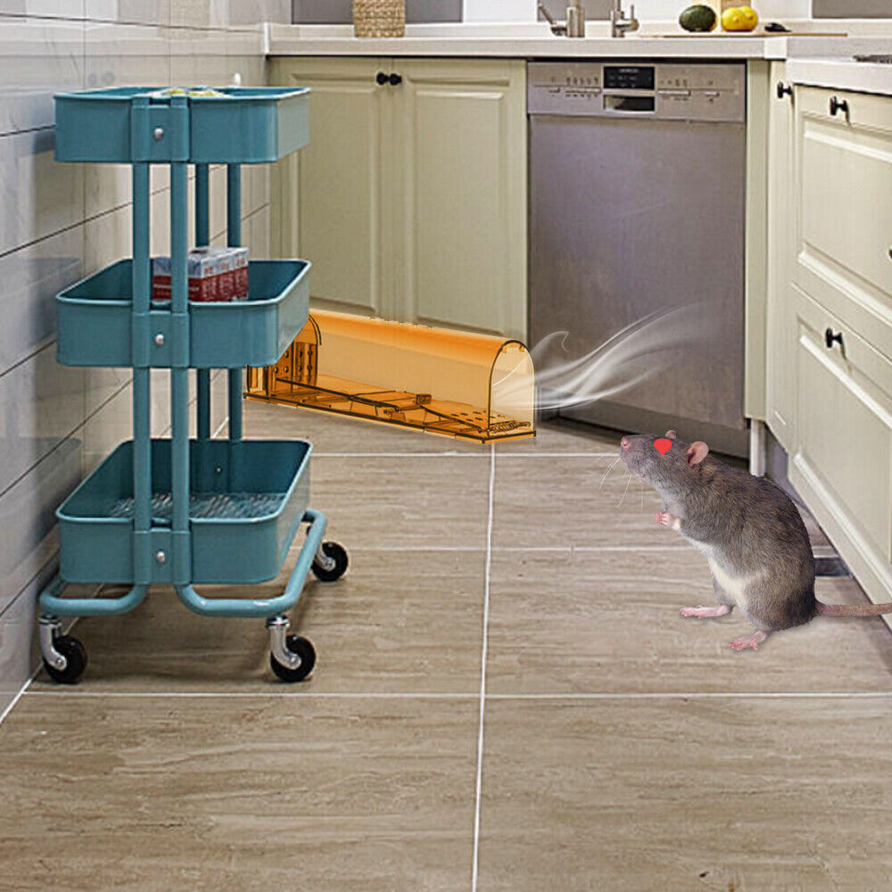 USA Mouse Trap Rat Trap Rodent Trap Live Catch Cage, Easy to Set Up and Reuse