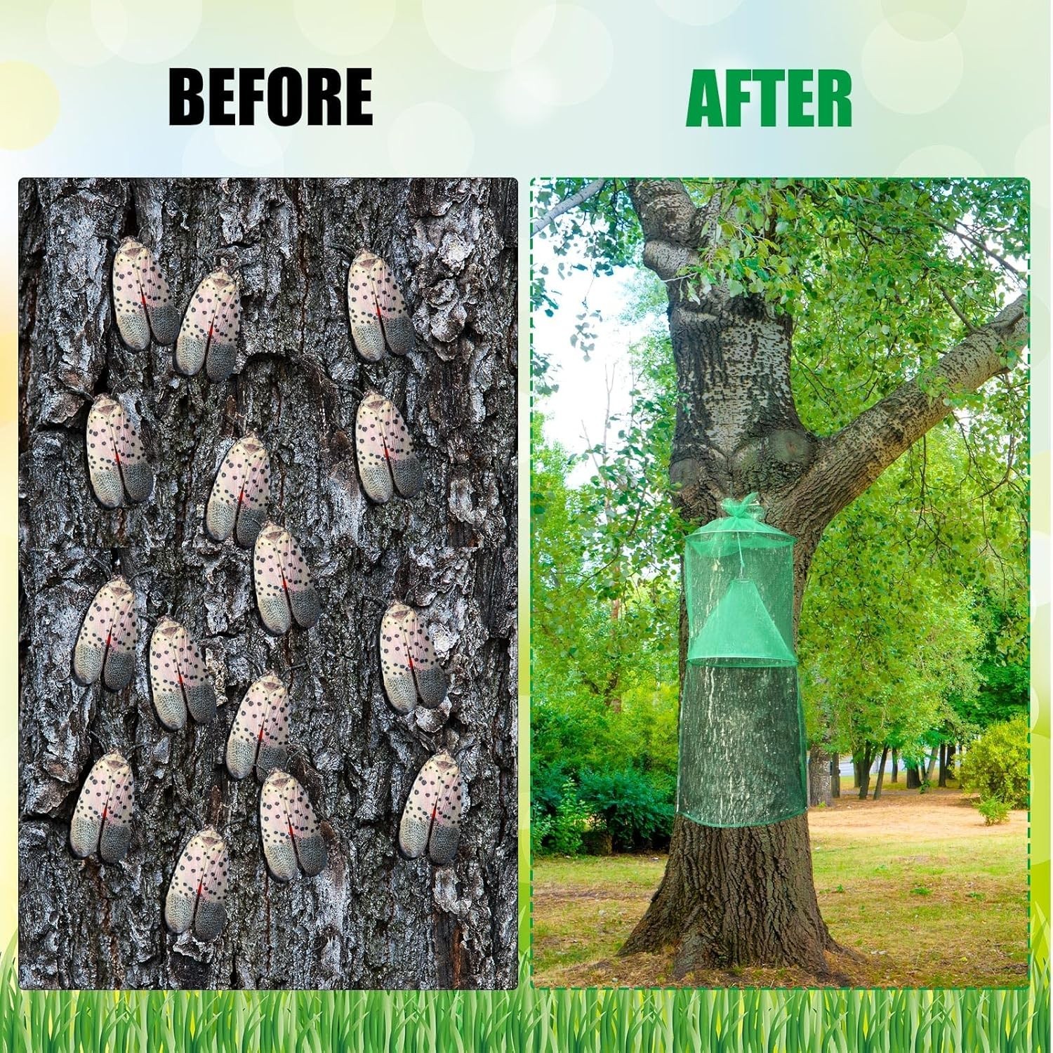 4 Pack Spotted Lanternfly Traps Lantern Fly Killer Mesh Tree Trap with Jute R…