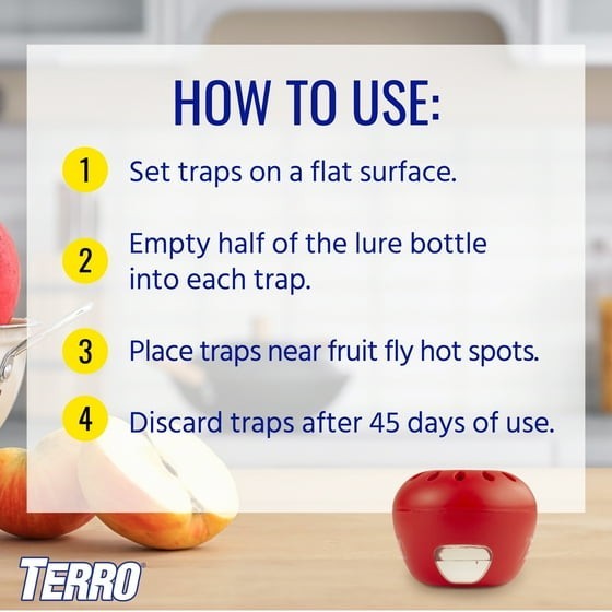 Indoor Fruit Fly Trap, (2-count) , Terro Traps, In Built With Window Sinks…