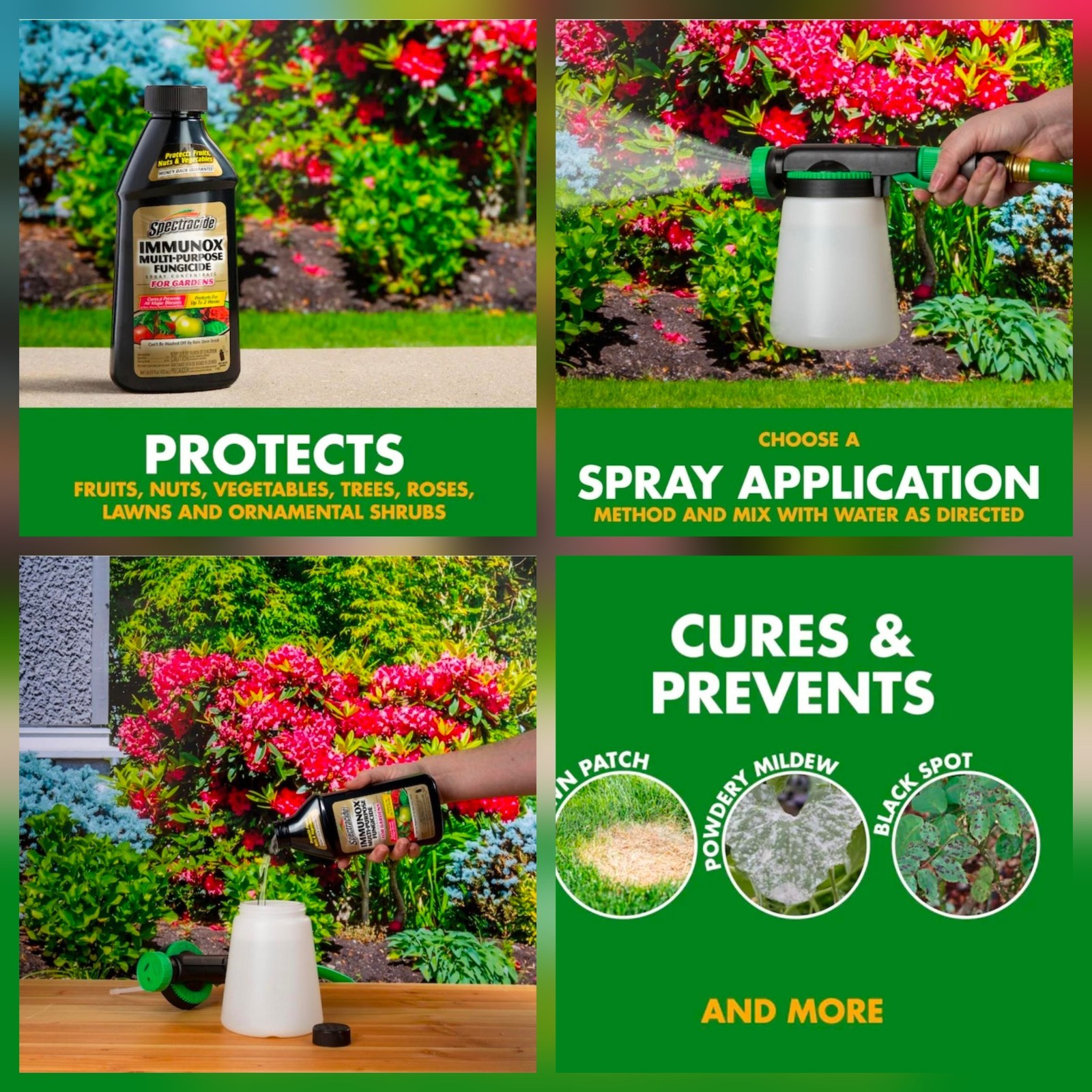 Spectracide Immunox Multi-Purpose Fungicide Spray Concentrate For Gardens 16 Oz