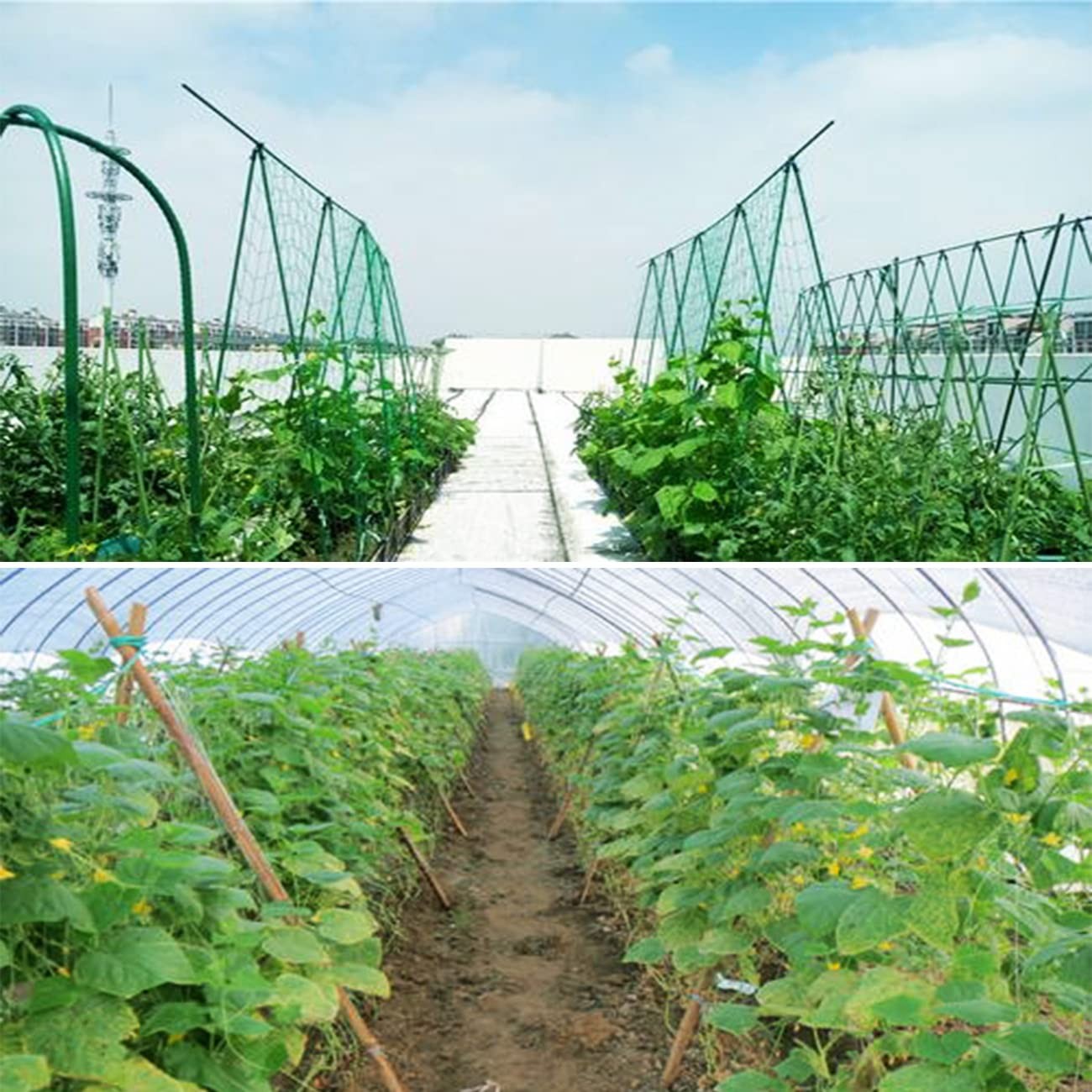 Green Garden Trellis Netting 5×100 ft Heavy Duty Polypropylene Plant Support …