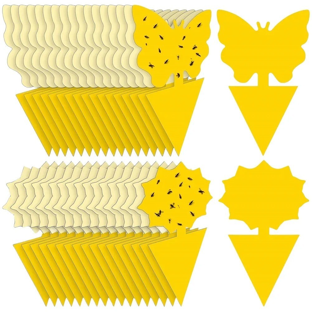 20 PCS Sticky Fruit Fly Traps, Fungus Gnat Killer Trap use Indoor Outdoor