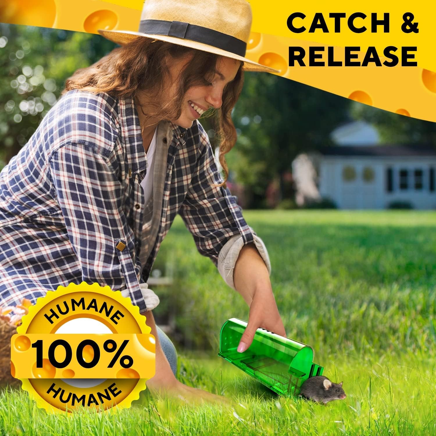 USA Mouse Trap Rat Trap Rodent Trap Live Catch Cage, Easy to Set Up and Reuse